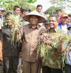 Komitmen Walikota Pekanbaru Mengembangkan Ekonomi Rakyat di Bidang Pertanian dan Peternakan